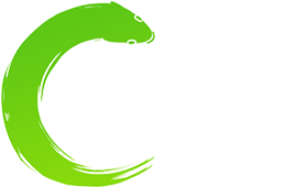Logo Big